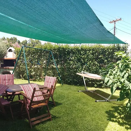 The Garden *