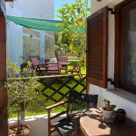 The Garden *