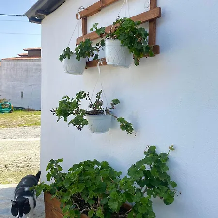The Garden Kriopigi